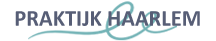 Logo van Therapie Haarlem NAAM